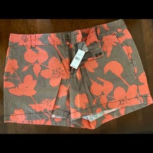 Bundle of Loft Shorts (size 12)